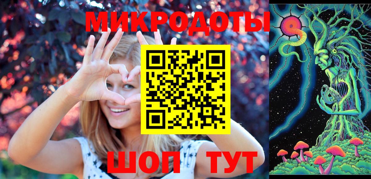 Галлюциногенные грибы Psilocybe Гудермес