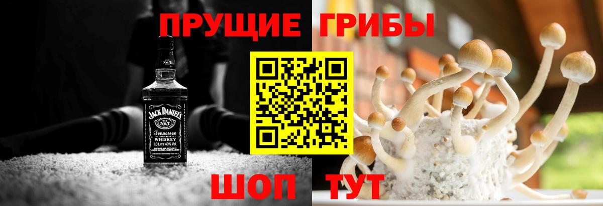 Галлюциногенные грибы мухоморы  Вход с VPN  Гудермес  Галлюциногенные грибы Psilocybe 